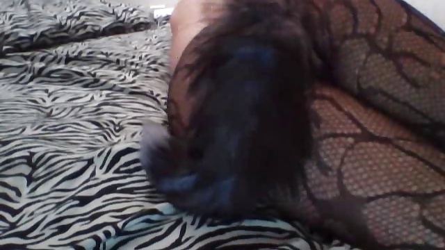 Sex Toy Foxtail Stockings