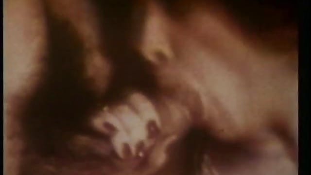 Vintage: Classic Group Sex