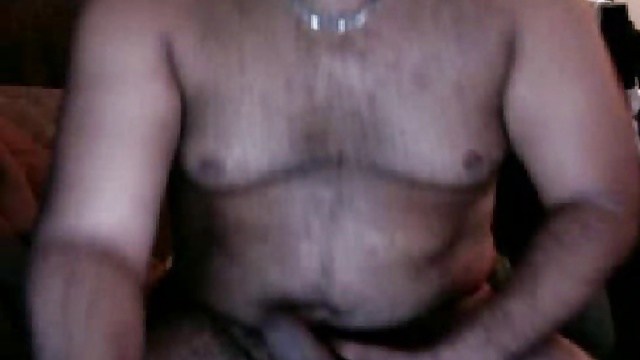 LATIN UNCUT BEAR