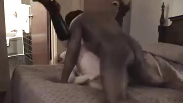 BBW White Wife fucked hard and takes Cream Pie